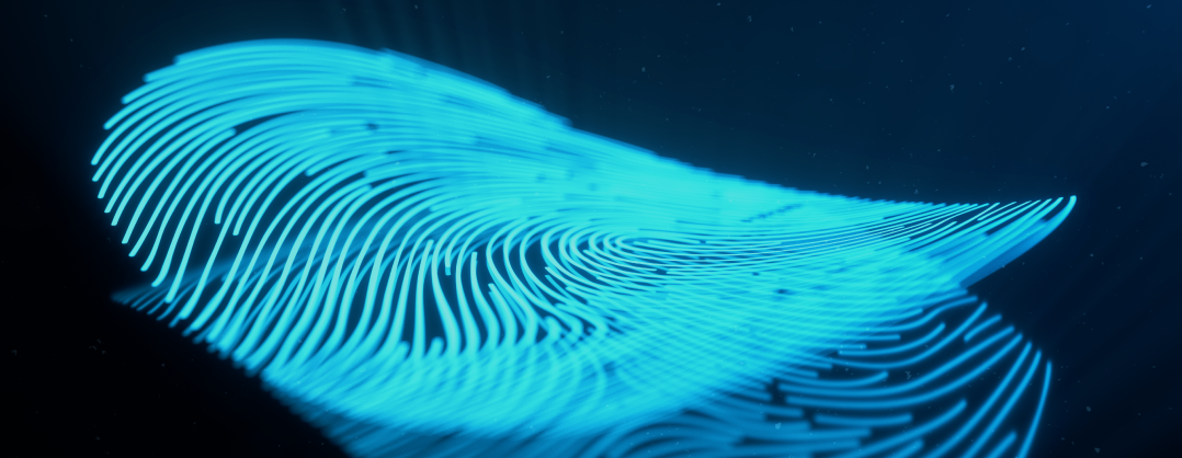 Signature Identity